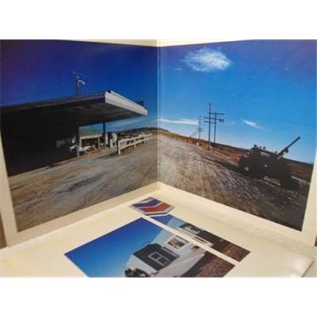 Bad Company Desolation Angels vinyl lp record album for sale.
