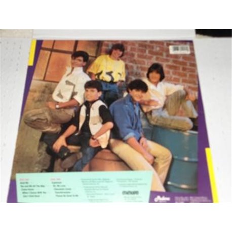Menudo self titled vinyl lp record for sale featuring Ricky Martin﻿ !