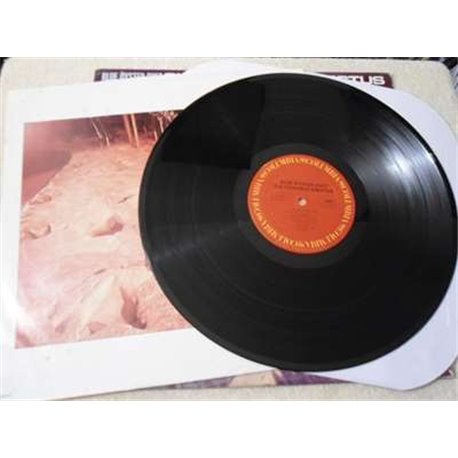 Blue Oyster Cult - Cultosaurus Erectus Vinyl LP Record For Sale