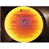 Amazing Rhythm Aces - Burning The Ballroom Down LP Vinyl Record For Sale