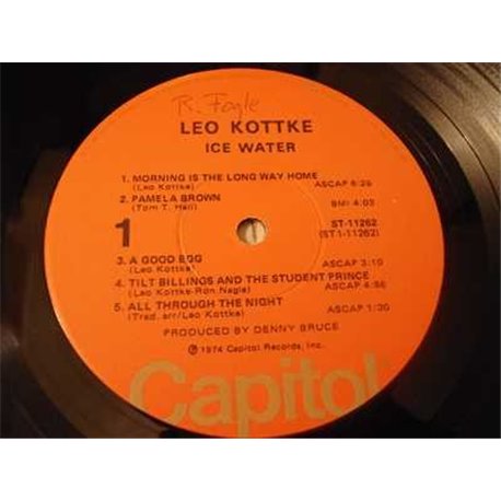 Leo Kottke - Ice Water LP Vinyl Record For Sale