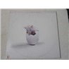 Triumvirat - Illusions On A Double Dimple LP Vinyl Record For Sale