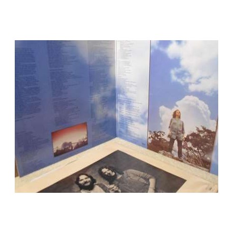Carole King - Touch The Sky LP Vinyl Record For Sale