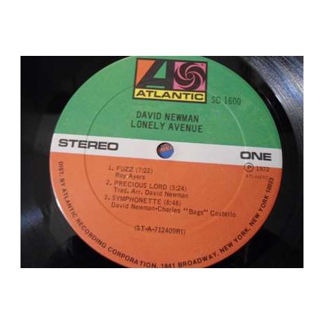 David Newman - Lonely Avenue LP Vinyl Record For Sale
