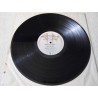 The Tarney/Spencer Band - Run For Your Life PROMO LP Vinyl Record For Sale