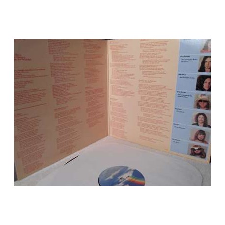 Rossington Collins Band - Anytime Anyplace Anywhere LP Vinyl Record For Sale