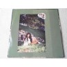 SZA - Ctrl 2x LP Green Translucent Colored Vinyl Record For Sale