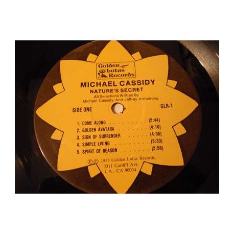 Michael Cassidy - Nature's Secret LP Vinyl Record For Sale