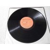 Colleen Peterson - Beginning To Feel Like Home LP Vinyl Record For Sale