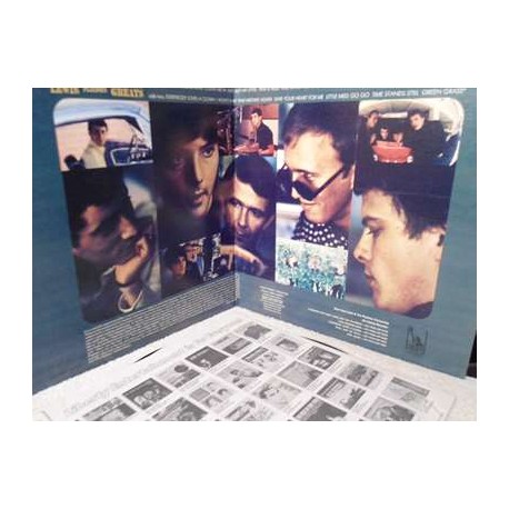 Gary Lewis And The Playboys - Golden Greats LP Vinyl Record For Sale