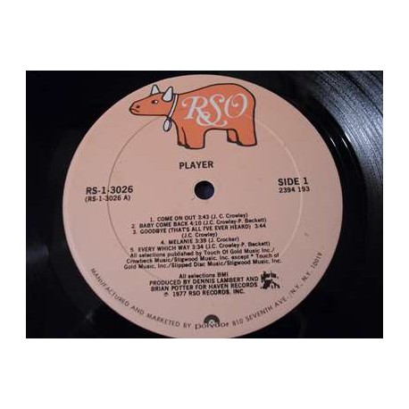 Player - Self Titled LP Vinyl Record For Sale