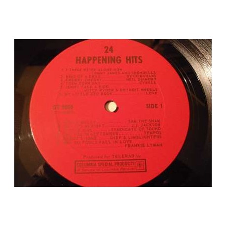 24 Original Happening Hits LP Vinyl Record For Sale