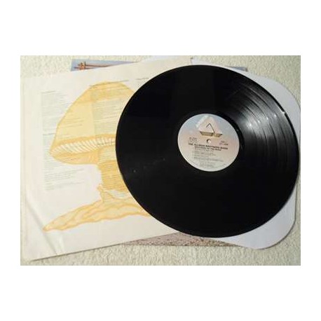 The Allman Brothers Band - Brothers Of The Road LP Vinyl Record For Sale