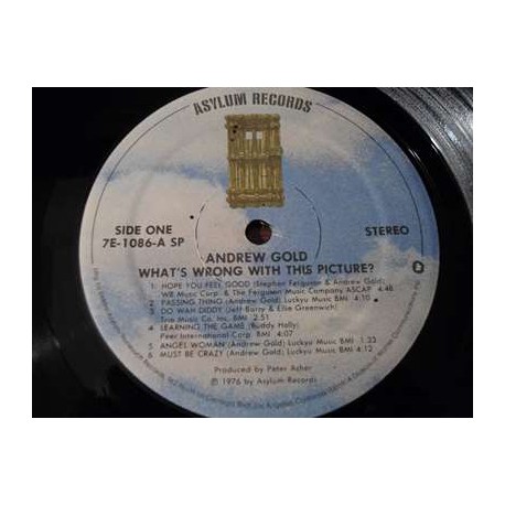 Andrew Gold - What's Wrong With This Picture? LP Vinyl Record For Sale