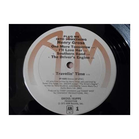 Henry Gross - Plug Me Into Something LP Vinyl Record For Sale