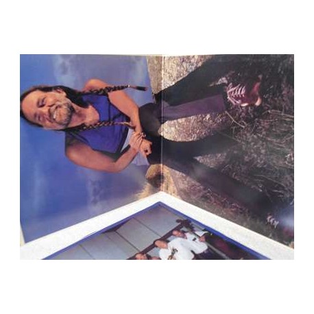 Willie Nelson - Greatest Hits 2x LP Vinyl Record For Sale