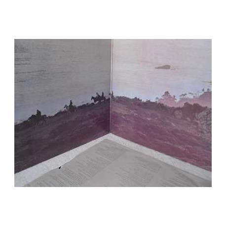 The Doobie Brothers - Stampede LP Vinyl Record For Sale