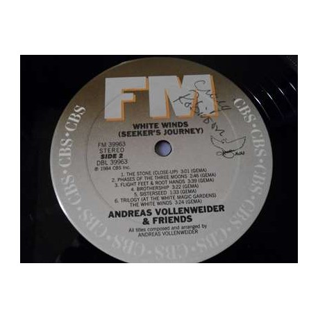 Andreas Vollenweider - White Winds LP Vinyl Record For Sale
