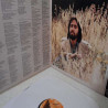 Dan Fogelberg - Phoenix Vinyl LP Record For Sale