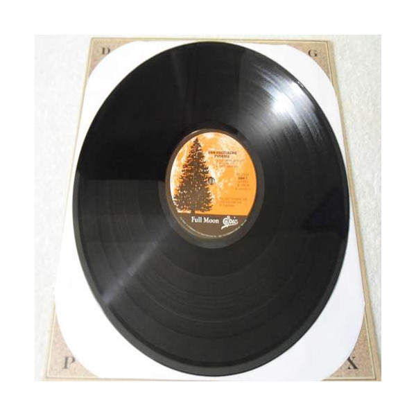 Dan Fogelberg - Phoenix Vinyl LP Record For Sale