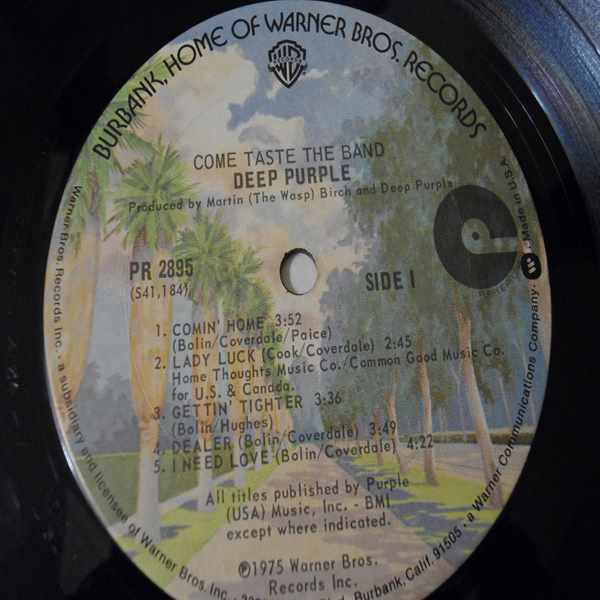 Deep Purple - Come Taste The Band LP Vinyl Record For Sale
