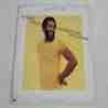 Roy Ayers Ubiquity - Everybody Loves The Sunshine LP Vinyl Record For Sale