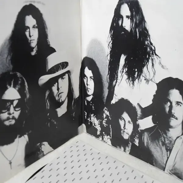 Lynyrd Skynyrd - Street Survivors Vinyl LP Record For Sale - First Press