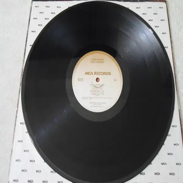 Lynyrd Skynyrd - Street Survivors Vinyl LP Record For Sale - First Press