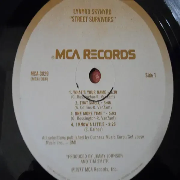 Lynyrd Skynyrd - Street Survivors Vinyl LP Record For Sale - First Press