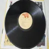 Bee Gees - Best Of Bee Gees Vinyl LP Record For Sale