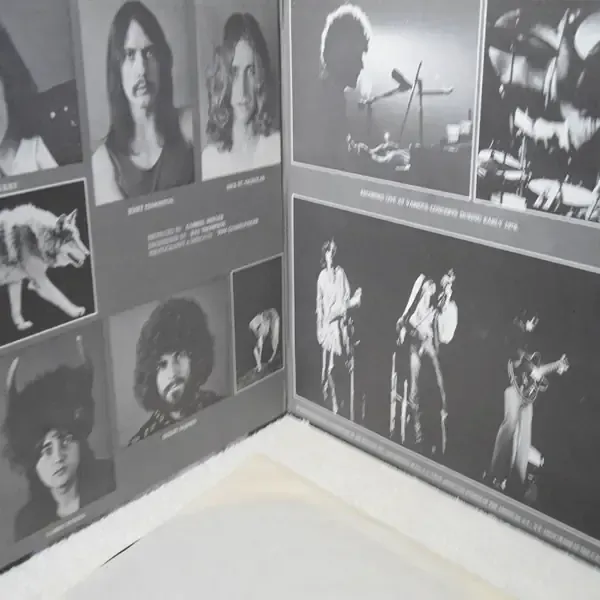 Steppenwolf - Live 2xLP Vinyl Record For Sale