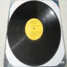 Elvis - His Hand In Mine Vinyl LP Record For Sale