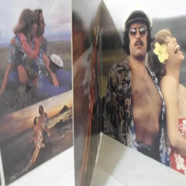 Captain & Tennille - Greatest Hits LP Vinyl Record For Sale