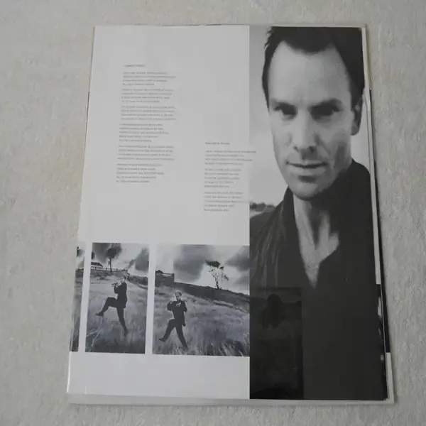 Sting - The Dream Of The Blue Turtles Vinyl LP Record For Sale
