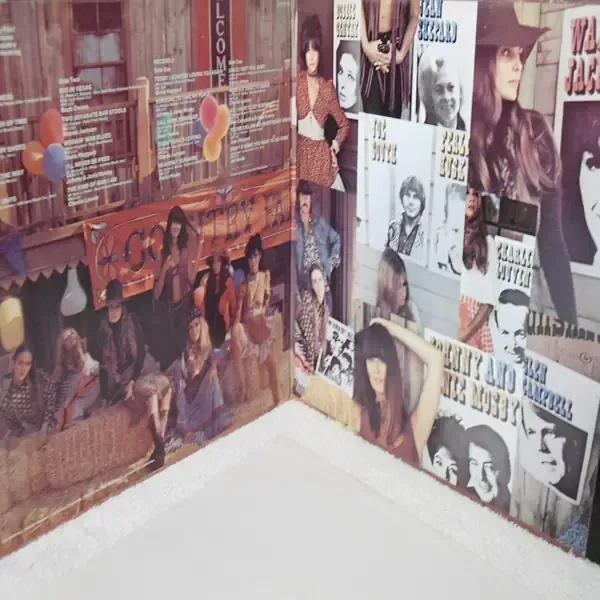 Country Fair - 20 Country Hits 2xLP Vinyl Record For Sale