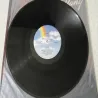 Tiffany - Self Titled PROMO Vinyl LP Record For Sale