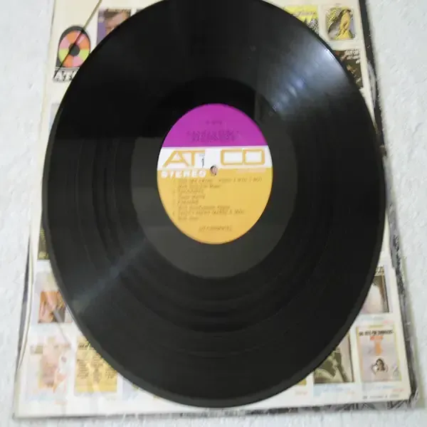 Vanilla Fudge - Renaissance LP Vinyl Record For Sale
