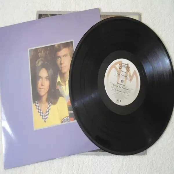 Carpenters - Horizon LP Vinyl Record For Sale