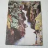 Cat Stevens - Back To Earth LP Vinyl Record For Sale