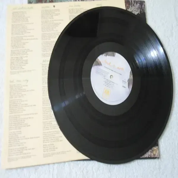 Cat Stevens - Back To Earth LP Vinyl Record For Sale