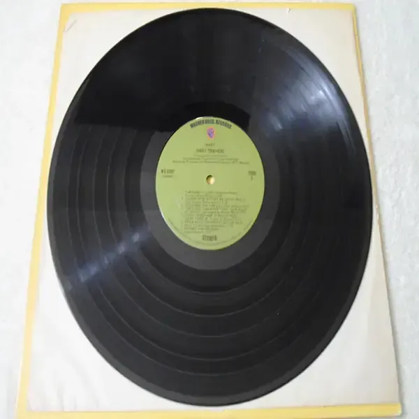 Mary Travers - Mary LP Vinyl Record For Sale