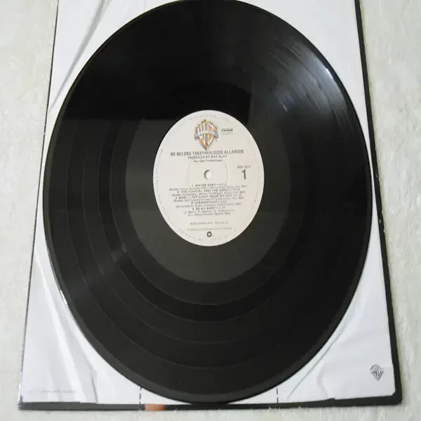 Susie Allanson - We Belong Together LP Vinyl Record For Sale
