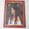 Emmylou Harris - Roses In The Snow LP Vinyl Record For Sale