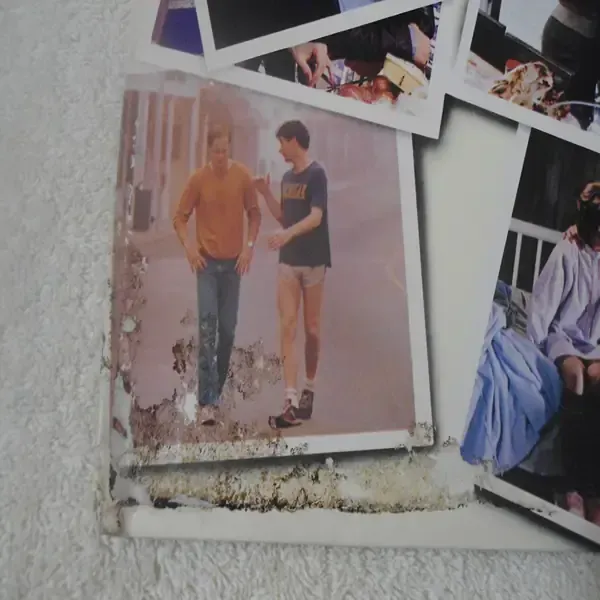 The Big Chill - Original Motion Picture Soundtrack LP Vinyl Record For Sale