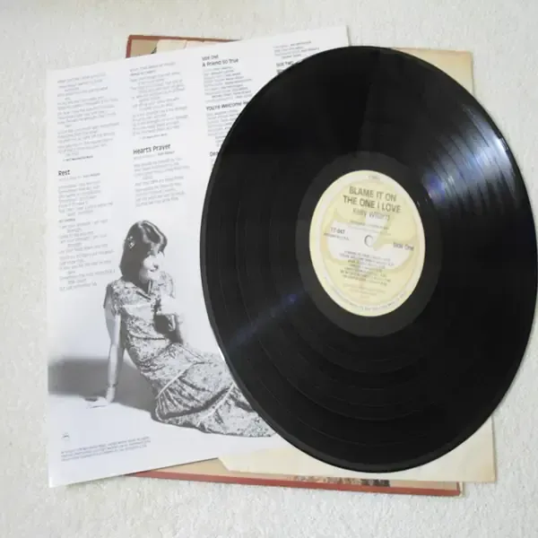 Kelly Willard - Blame It On The One I Love LP Vinyl Record For Sale
