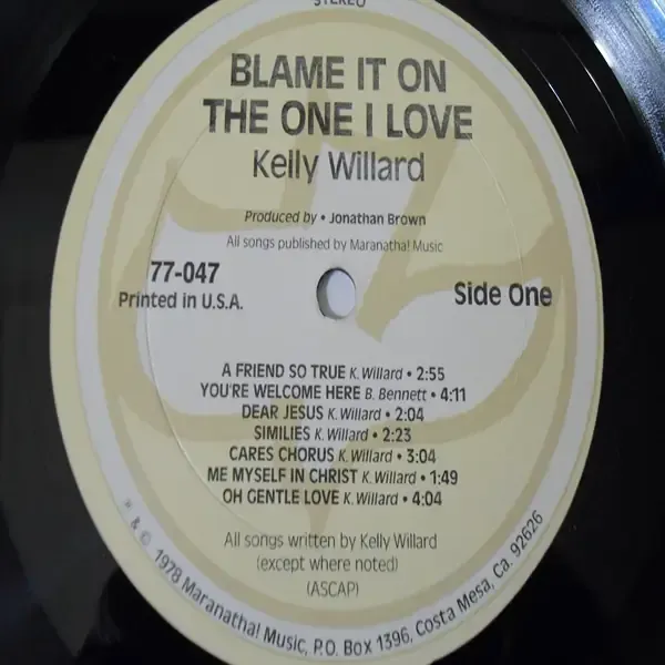 Kelly Willard - Blame It On The One I Love LP Vinyl Record For Sale