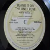 Kelly Willard - Blame It On The One I Love LP Vinyl Record For Sale