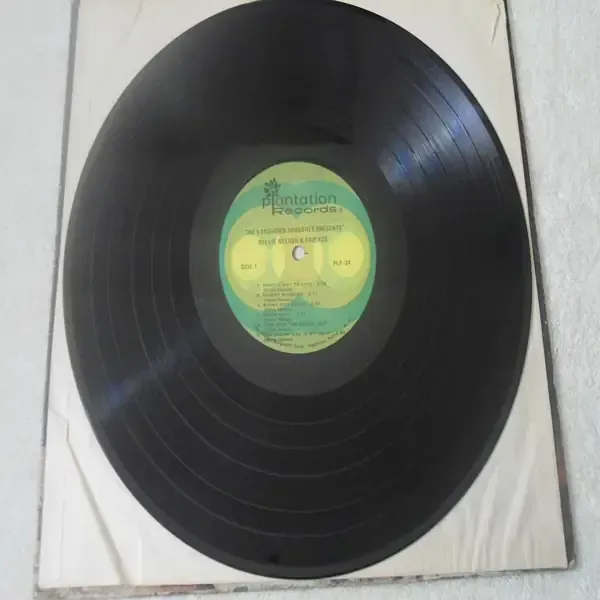 Willie Nelson - Longhorn Jamboree LP Vinyl Record For Sale