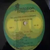 Willie Nelson - Longhorn Jamboree LP Vinyl Record For Sale