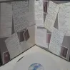 Linda Ronstadt - Prisoner In Disguise Vinyl LP Record For Sale